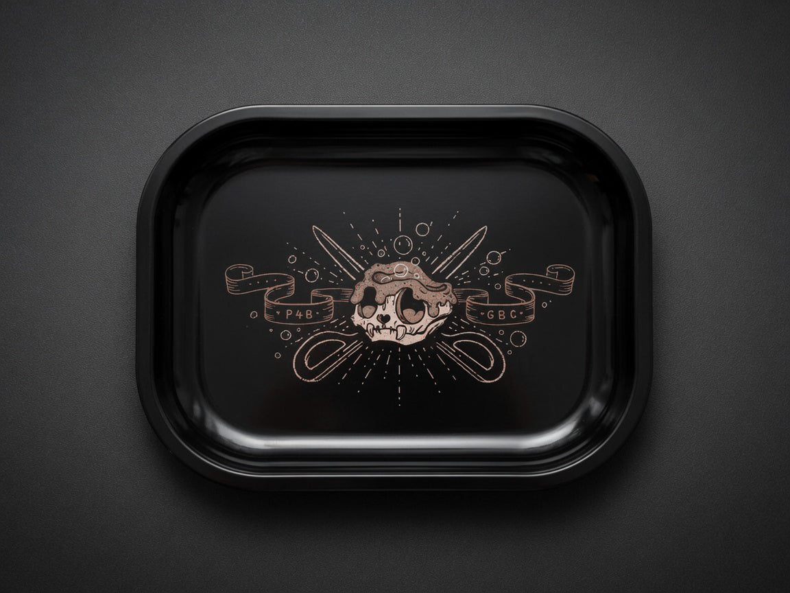 Fidget Tray Kit Work Space p4b.inc