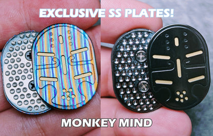 Stainless Steel Plates for Monkey Mind - TiGo Production